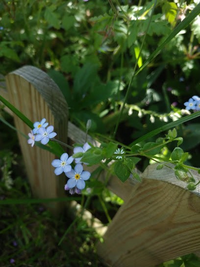 Desnous Sylvain SARL, Carreleur à Rebrechien
