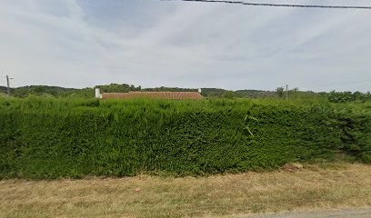 Barbe Richard, Carreleur à Loupia