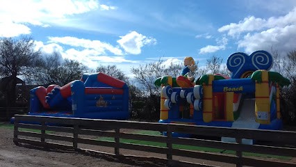 Guirao Denis, Carreleur à Loupian