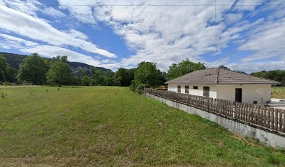 Lupinu Romain, Carreleur à Virignin