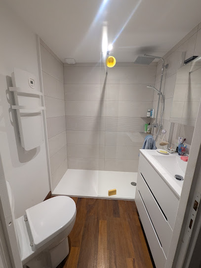 Srh (Solution Rénovation Habitat), Carreleur à Treffort