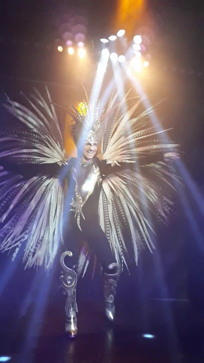 Tancredi Sylvain, Carreleur à Neuville-sur-Saône