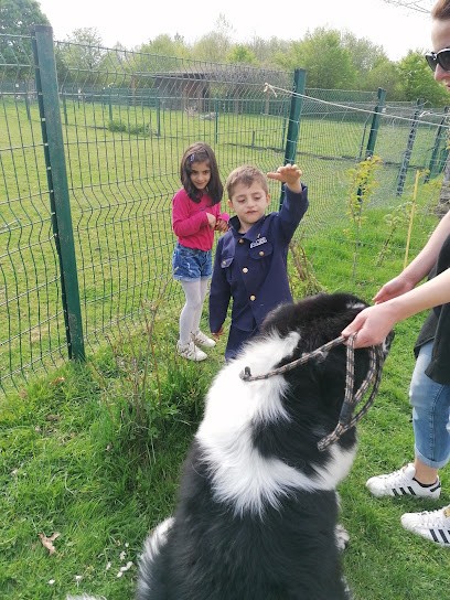 OSMAN BATIMENT, Carreleur à Montceau-les-Mines