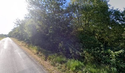 De Salins Nicolas, Carreleur à Monterblanc