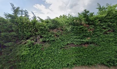 Maurin Nicolas, Carreleur à Rochefort-du-Gard
