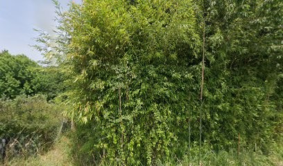La Mosaique Albino, Carreleur à Mouguerre