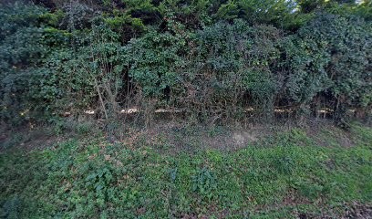 Rodolph Salmon, Carreleur au Minihic-sur-Rance