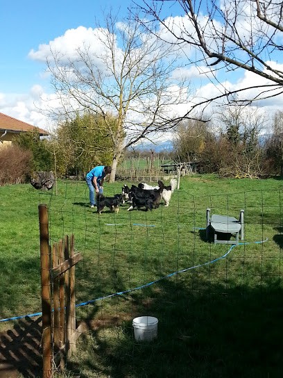 A.c.b, Carreleur à Sillans